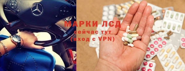 спиды Аркадак