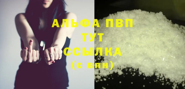 спиды Аркадак