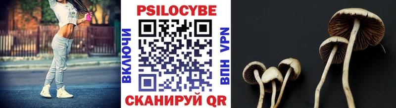 Купить  Ужур  Псилоцибиновые грибы ЛСД 